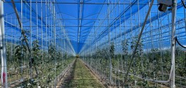 0219 안동시 농업  미래로 세계로 향한다 (6)-노지스마트농업.JPG